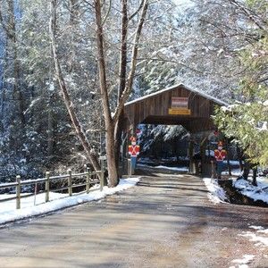 Meet your Posher, Larry